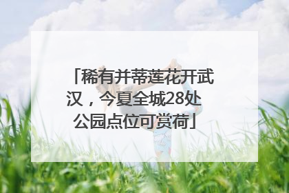 稀有并蒂莲花开武汉，今夏全城28处公园点位可赏荷