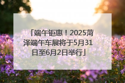 端午钜惠！2025菏泽端午车展将于5月31日至6月2日举行