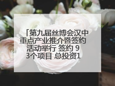 第九届丝博会汉中重点产业推介暨签约活动举行 签约 93个项目 总投资132.23 亿元