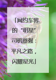 网约车界的“明星”司机蔡强：平凡之路，闪耀星光