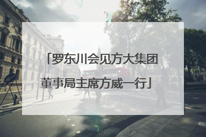 罗东川会见方大集团董事局主席方威一行