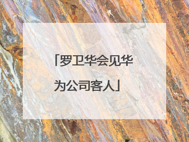 罗卫华会见华为公司客人