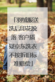 羽绒服送洗后印花脱落 客户质疑京东洗衣不按折旧标准赔偿