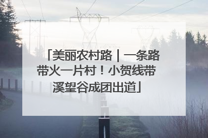 美丽农村路｜一条路带火一片村！小贺线带溪望谷成团出道