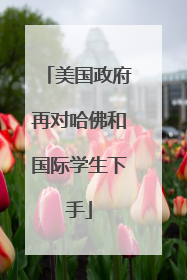 美国政府再对哈佛和国际学生下手