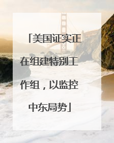 美国证实正在组建特别工作组，以监控中东局势