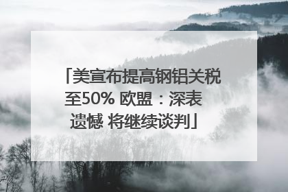 美宣布提高钢铝关税至50% 欧盟：深表遗憾 将继续谈判