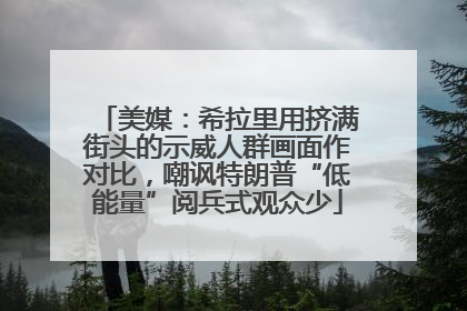美媒：希拉里用挤满街头的示威人群画面作对比，嘲讽特朗普“低能量”阅兵式观众少