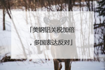 美钢铝关税加倍，多国表达反对