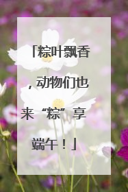 粽叶飘香，动物们也来“粽”享端午！