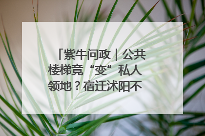 紫牛问政｜公共楼梯竟“变”私人领地？宿迁沭阳不动产登记引质疑