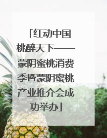 红动中国 桃醉天下——蒙阴蜜桃消费季暨蒙阴蜜桃产业推介会成功举办