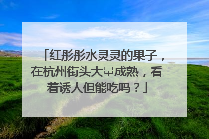 红彤彤水灵灵的果子，在杭州街头大量成熟，看着诱人但能吃吗？
