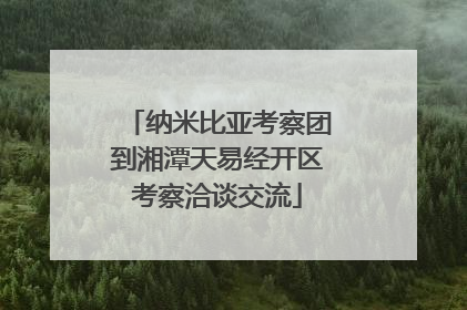 纳米比亚考察团到湘潭天易经开区考察洽谈交流