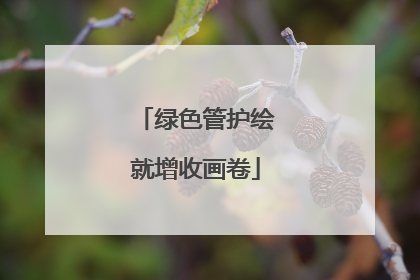 绿色管护绘就增收画卷
