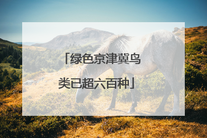 绿色京津冀鸟类已超六百种