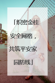 织密金桂安全网格，共筑平安家园防线
