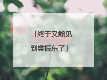 终于又能见到樊振东了