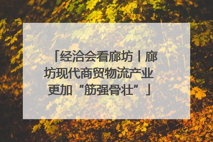 经洽会看廊坊丨廊坊现代商贸物流产业更加“筋强骨壮”