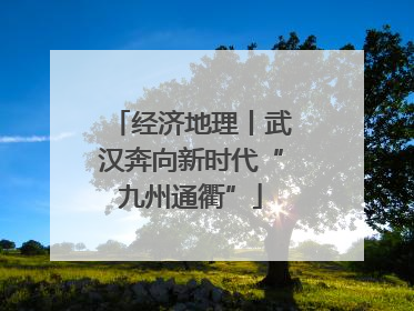 经济地理丨武汉奔向新时代“九州通衢”