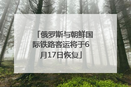 俄罗斯与朝鲜国际铁路客运将于6月17日恢复