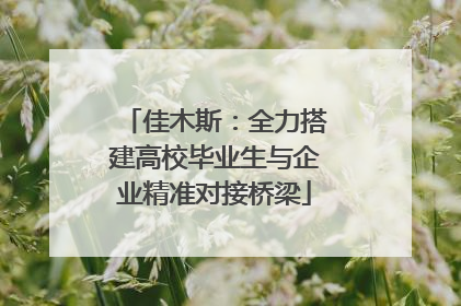 佳木斯：全力搭建高校毕业生与企业精准对接桥梁