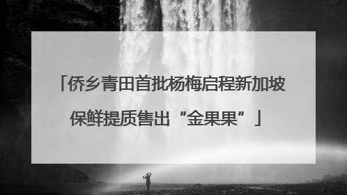 侨乡青田首批杨梅启程新加坡 保鲜提质售出“金果果”