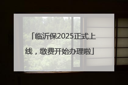 临沂保2025正式上线，缴费开始办理啦