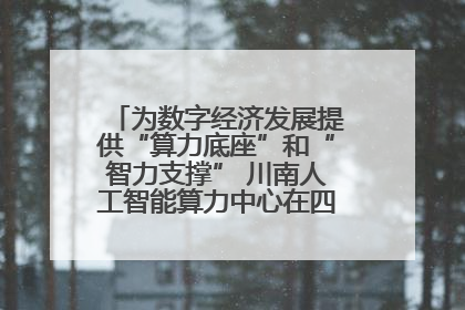 为数字经济发展提供“算力底座”和“智力支撑” 川南人工智能算力中心在四川泸州启动