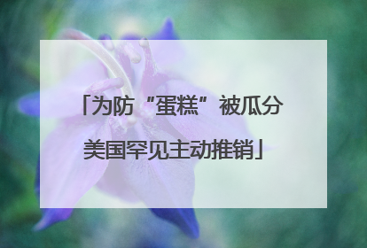 为防“蛋糕”被瓜分 美国罕见主动推销