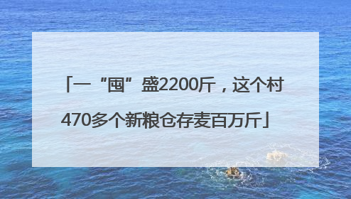 一“囤”盛2200斤，这个村470多个新粮仓存麦百万斤