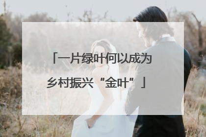 一片绿叶何以成为乡村振兴“金叶”