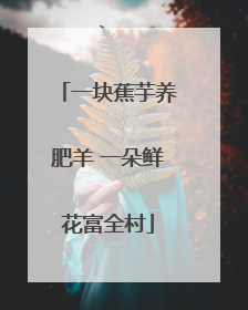 一块蕉芋养肥羊 一朵鲜花富全村