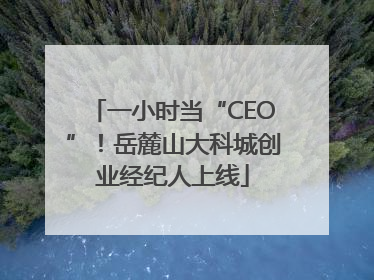 一小时当“CEO”！岳麓山大科城创业经纪人上线