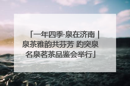 一年四季·泉在济南｜泉茶雅韵共芬芳 趵突泉名泉茗茶品鉴会举行