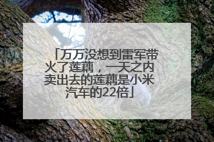 万万没想到雷军带火了莲藕，一天之内卖出去的莲藕是小米汽车的22倍