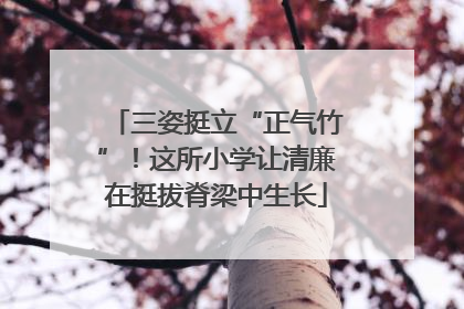三姿挺立“正气竹”！这所小学让清廉在挺拔脊梁中生长