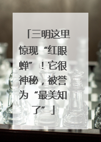三明这里惊现“红眼蝉”！它很神秘，被誉为“最美知了”