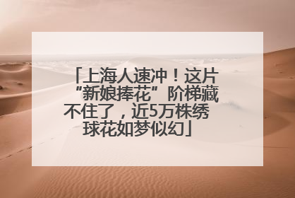 上海人速冲！这片“新娘捧花”阶梯藏不住了，近5万株绣球花如梦似幻