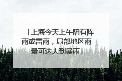 上海今天上午阴有阵雨或雷雨，局部地区雨量可达大到暴雨