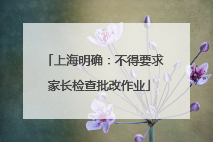 上海明确：不得要求家长检查批改作业