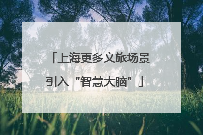 上海更多文旅场景引入“智慧大脑”