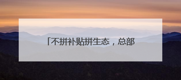 不拼补贴拼生态，总部项目纷至沓来 招商“反内卷”下的光谷之变
