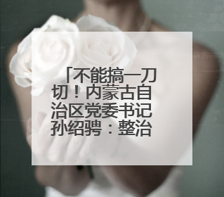 不能搞一刀切！内蒙古自治区党委书记孙绍骋：整治违规吃喝不是阻绝正常人际交往、黯淡人间烟火