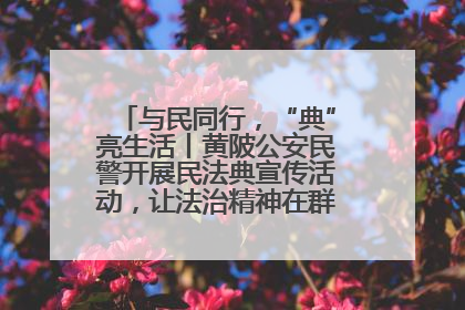 与民同行，“典”亮生活丨黄陂公安民警开展民法典宣传活动，让法治精神在群众心中落地生根
