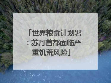 世界粮食计划署：苏丹首都面临严重饥荒风险