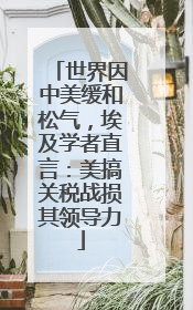 世界因中美缓和松气，埃及学者直言：美搞关税战损其领导力