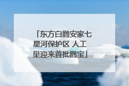 东方白鹳安家七星河保护区 人工巢迎来首批鹳宝