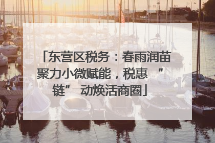 东营区税务：春雨润苗聚力小微赋能，税惠 “链” 动焕活商圈