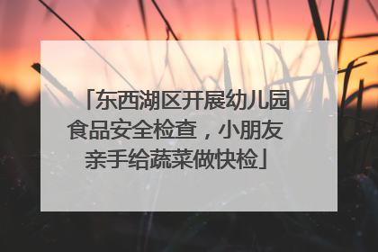 东西湖区开展幼儿园食品安全检查，小朋友亲手给蔬菜做快检